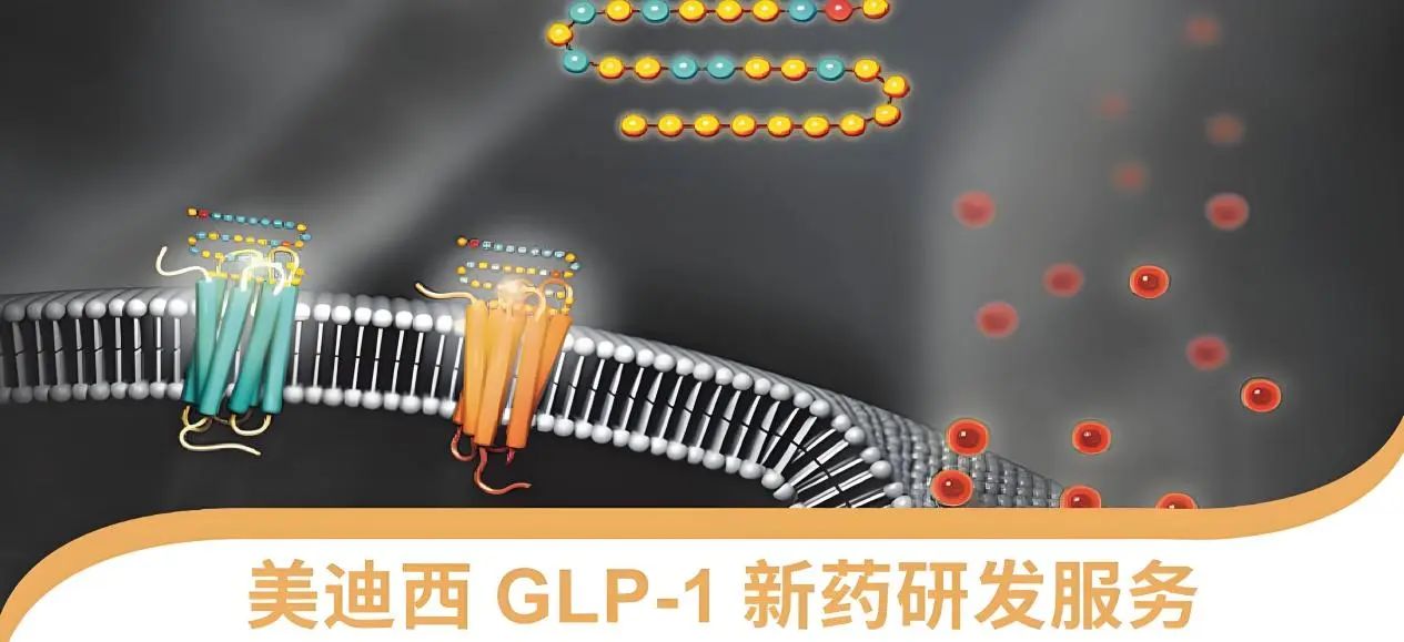 70.5%的成人正在悄悄长胖！国家卫健委“减肥令”下，GLP-1药物如何突围？